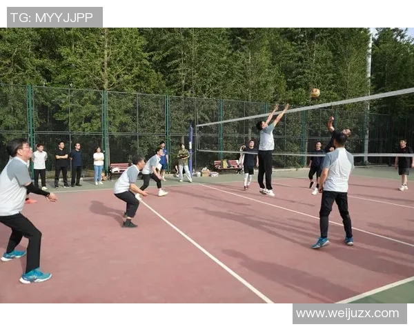 广州排球队在排球灵活性排行榜中荣获第三名展现出强大实力与潜力