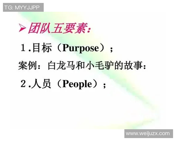 南京足球队意识探讨：提升团队凝聚力与战术执行力的关键因素分析