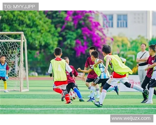 普卡足球的魅力与发展：探索这项新兴运动的未来潜力与影响力